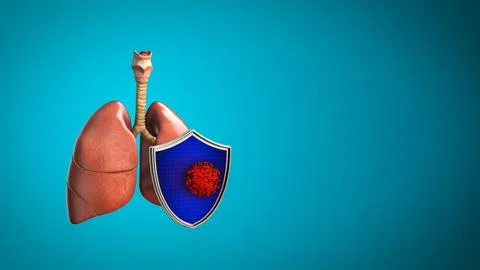 Human Lungs Protected by Shield for Immunity and Health Protection Concept Stock Illustration