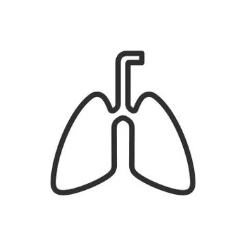 Human lungs, pulmonary system  Stock Illustration