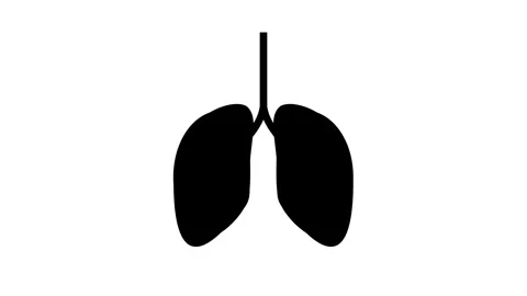 Human Lungs Respiratory System Animation Stock Footage 317484025