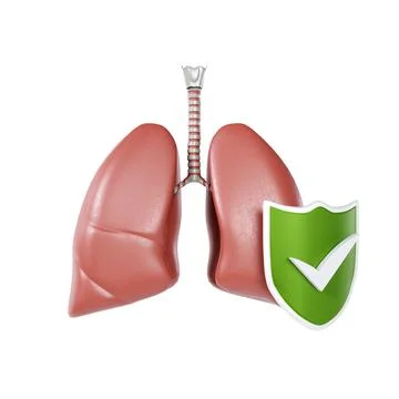Human lungs with shield isolated on white background Stock Illustration