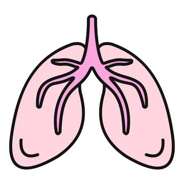 Human lungs showing part of the internal respiratory system Stock Illustration