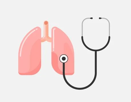 Human lungs with stethoscope Stock Illustration