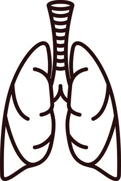 Human lungs vector icon 스톡 일러스트