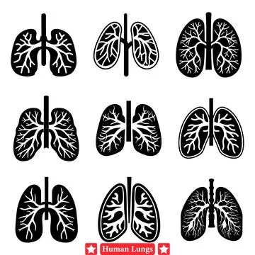 Human Lungs Vector Illustrations Set Offering Enhanced Visual Clarity for H.. Illustrazione stock