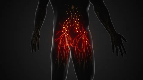 Human lymphatic system anatomical structure Stock Footage 253387756