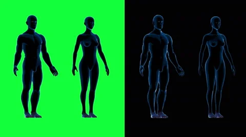 Human male female body scan.Rotate motion. Green screen 4k footage Stock Footage