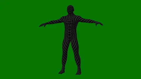 Human Male Grid Model Rotate and Loop Stock Footage 24812531