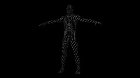 Human Male Grid Model Rotate and Loop Stock Footage 24812600