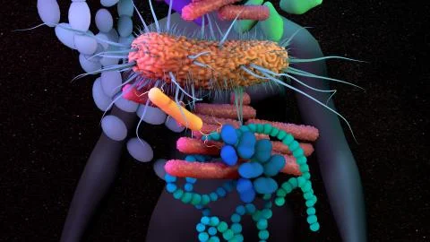 The human Microbiome, genetic material of all the microbes that live on Stock-Illustration