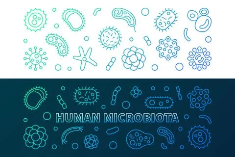 Human microbiota colorful banners. Vector linear illustration Stock-Illustration