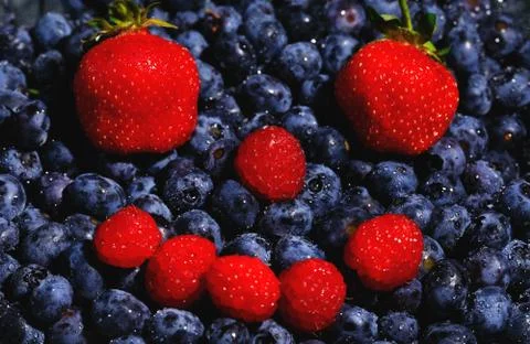 Human mimic shape made by red strawberries and blue blueberries. Healthy and  Stock Photos