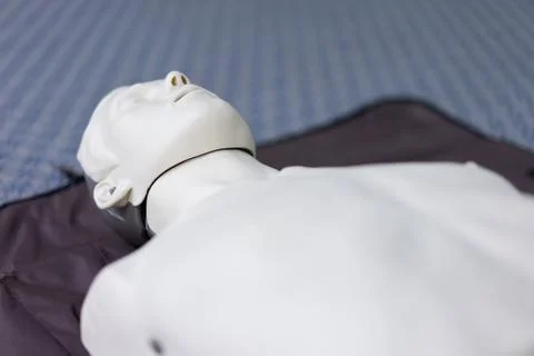 Human model used for resurrection training. Stock Photos