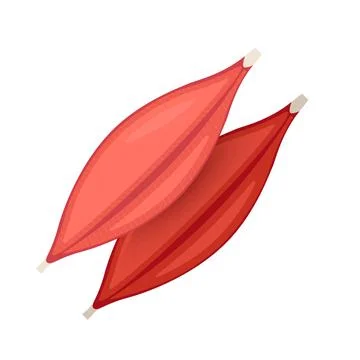Human muscle tissue flat icon. Vector muscle anatomy isolated icon Stock Illustration