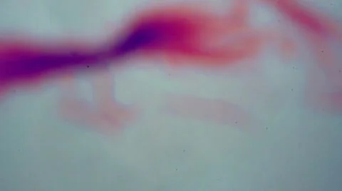 Human Muscle Tissue Stock Footage 5969920