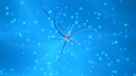 Human nerve cell signal Stock Footage 126031195