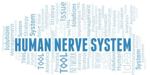 Human Nerve System typography vector word cloud. Stock Illustration