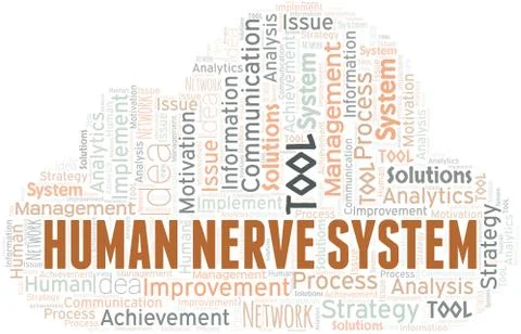 Human Nerve System typography vector word cloud. Stock Illustration