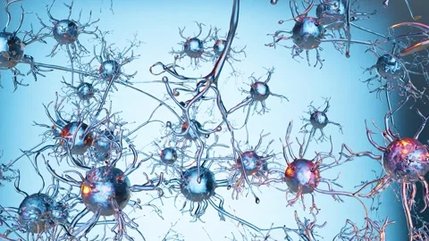 Human nervous system anatomy, Neurons or nerve cells, nerve communication Stock Footage 306367409