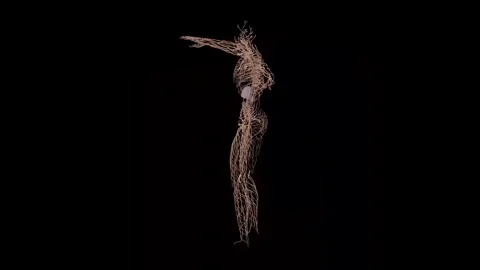 Human nervous system in artistic 3D visualization Stock Footage 341776969