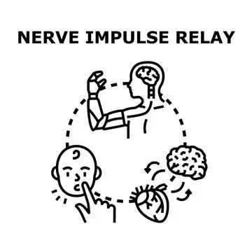 Human neural impulse relaying and prosthetics technology Stock Illustration