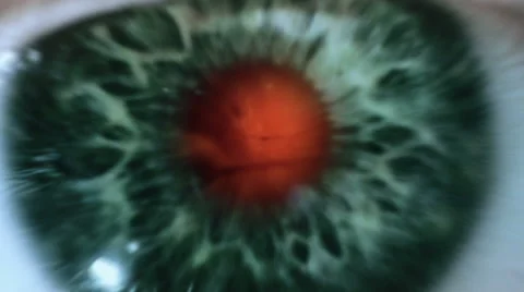 Human neurons activity. Vidéo 61153630