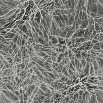 Human neurons in brain seamless 3d rendering イラスト素材