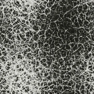 Human neurons in brain seamless 3d rendering 库存插图