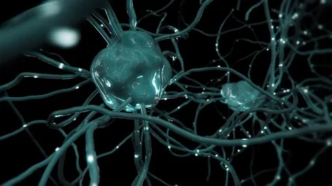 Human neurons / neural net with firing synapses. Stock Footage