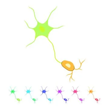 Human neurons vector cartoon graphic Illustrazione stock