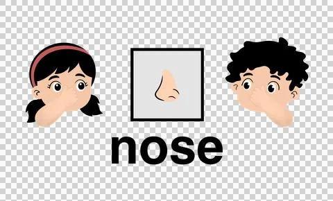 Human nose with cute boy and girl children pointing to their noses Stock Illustration