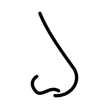 Human nose icon in linear style. Smell sense. Stock Illustration