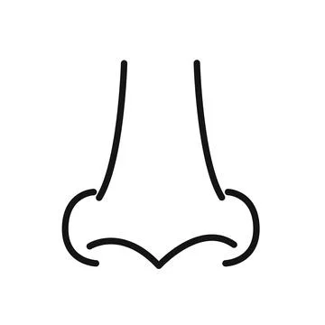 Human nose icon linear vector graphics sign Stock Illustration
