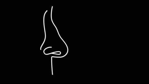 Human nose outline self drawing animatio... | Stock Video | Pond5