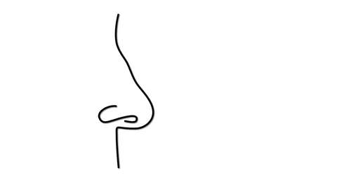 Human nose outline self drawing animatio... | Stock Video | Pond5