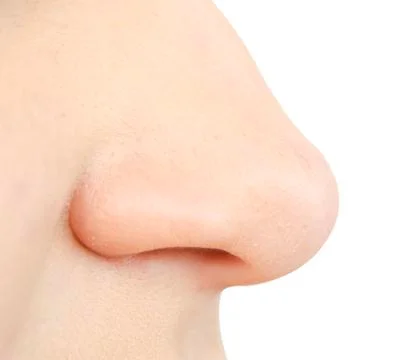 Human nose Stock Photos