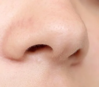 Human nose Stock Photos