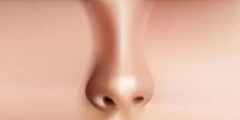 Human nose realistic front view Vector Illustration. Stock-Illustration