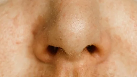 Human nose sniffs Stock Footage 80720741