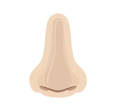Human nose on white background Stock Illustration