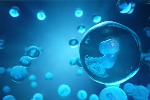 Human or animal cells on blue background. Concept Early stage embryo Medicine Stock Illustration
