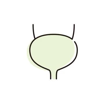 Human organ bladder flat icon, vector illustration Stock Illustration