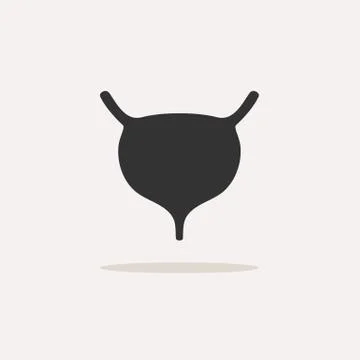Human organ. Bladder icon with shadow on beige background Stock Illustration