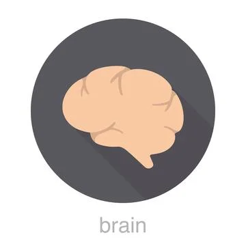 Human organ brain flat design icon, vector illustration Stock-Illustration