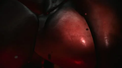Human Organ Stock Footage 21298634