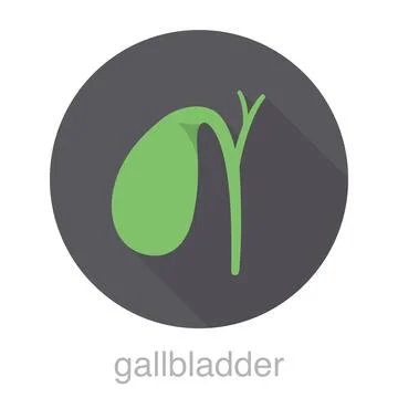 Human organ gallbladder flat design icon, vector illustration Stock Illustration