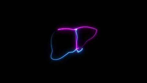 Human organ liver icon concept. Glowing neon line human organ liver icon de.. Stock Footage 293483316