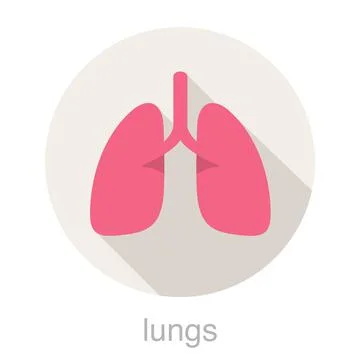 Human organ lungs flat design icon, vector illustration Stock Illustration