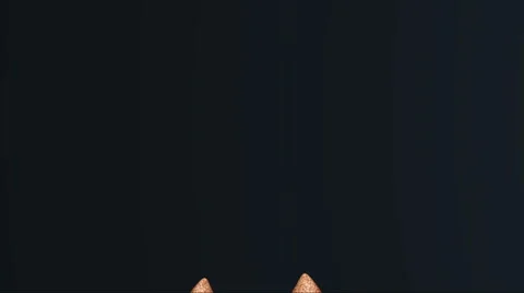 Human organs on black background. High resolution. 3D render Stock Footage 68907958