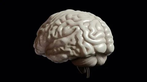 Human organs (brain) on black background. High resolution. 3D render Stock Footage 68907965