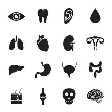 Human organs icon Stock Illustration